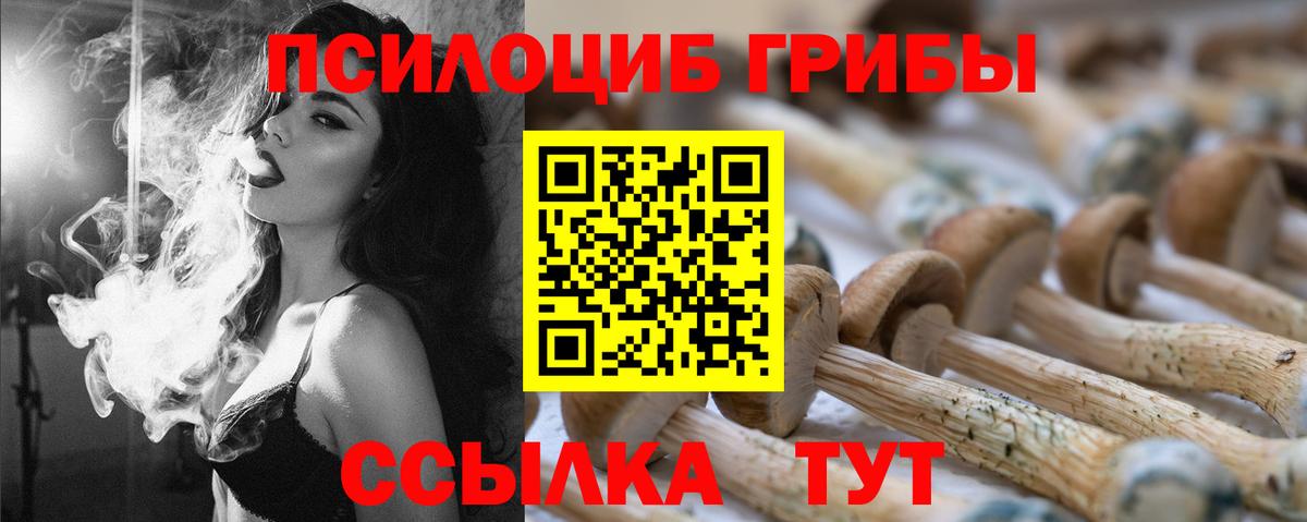 Псилоцибиновые грибы мицелий Усть-Джегута