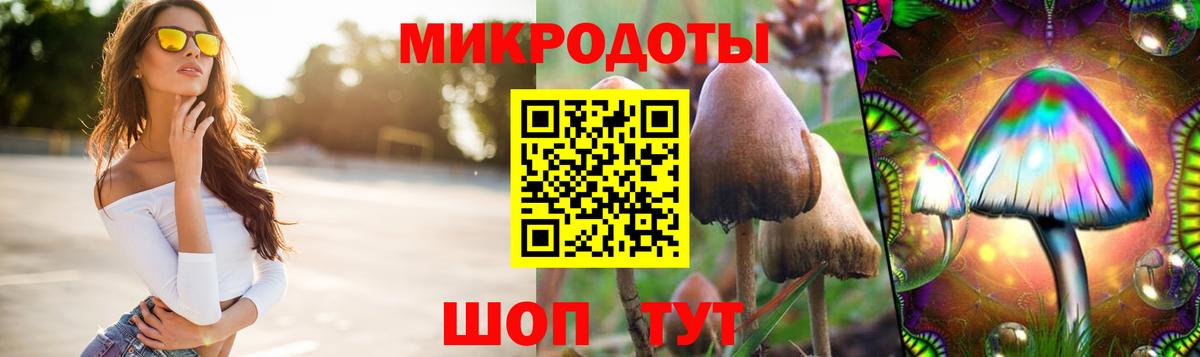 Усть-Джегута  Галлюциногенные грибы Cubensis  Вход с VPN 
